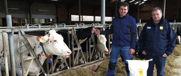 JOSERA Kunde mit Berater im Stall stehend