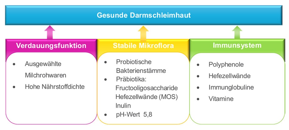 JOSERA Grafik zeigt Einflüsse auf eine gesunde Darmschleimhaut