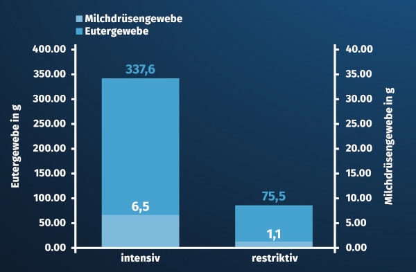 JOSERA Grafik zeigt die Entwicklung von Milchdrüsen- und Eutergewebe bei ad libitum und restrictiver Fütterung