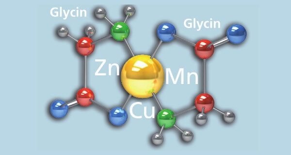 Glycinchelate JOSERA Grafik zeigt Verbindung von Elementen