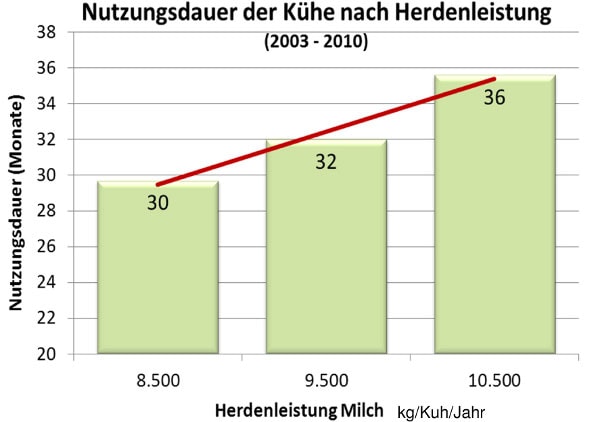 JOSERA Grafik zeigt Nutzungsdauer von Kühen nach Herdenleistung