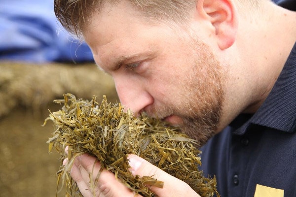 JOSILAC Mitarbeiter, Silage Test