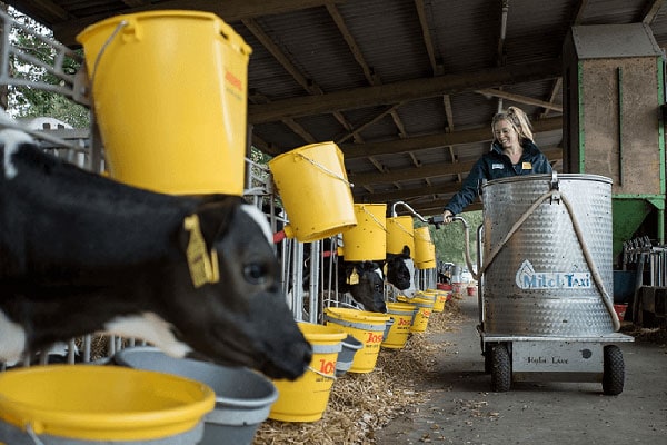 JOSERA Kälberfütterung mit Milchtaxi