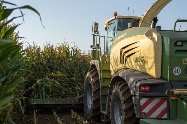 Maissilage Erntezeitpunkt 2 JOSILIAC Maschine während der Ernte
