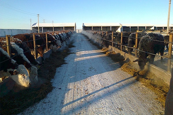 Der Winter kann kommen!