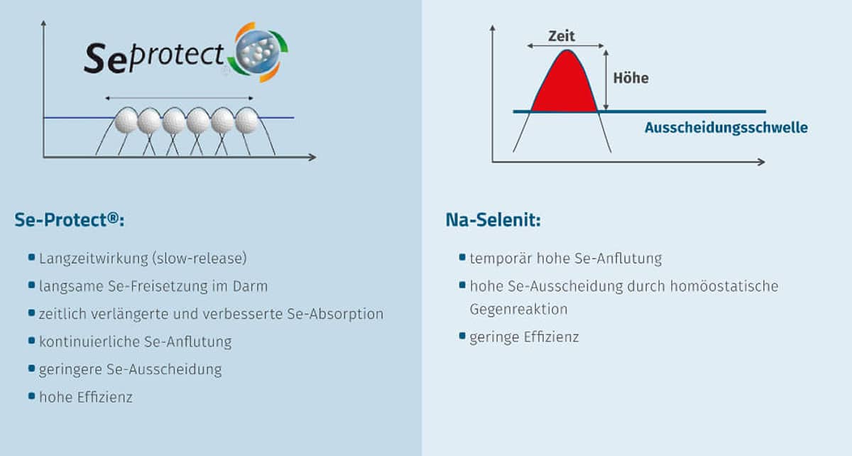SeProtect Ha JOSERA Grafik zeigt Infos zu SeProtect und Na-Selenit