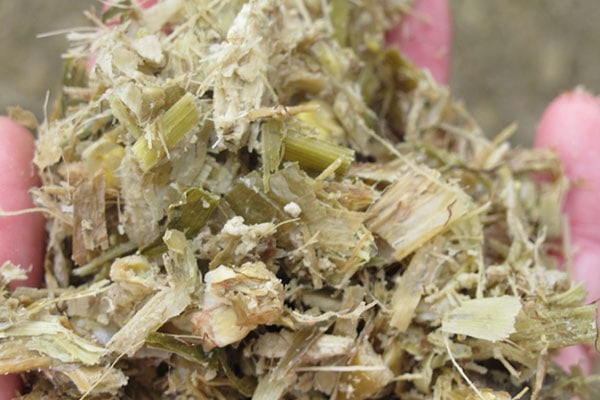 Detailansicht Ration JOSERA Futterration