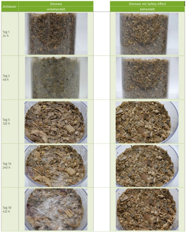 JOSILAC Silage im Vergleich mit Siliermittel