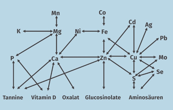 Wechselbeziehung Der Elemente JOSERA Grafik zeigt die Wechselbeziehung der Elemente