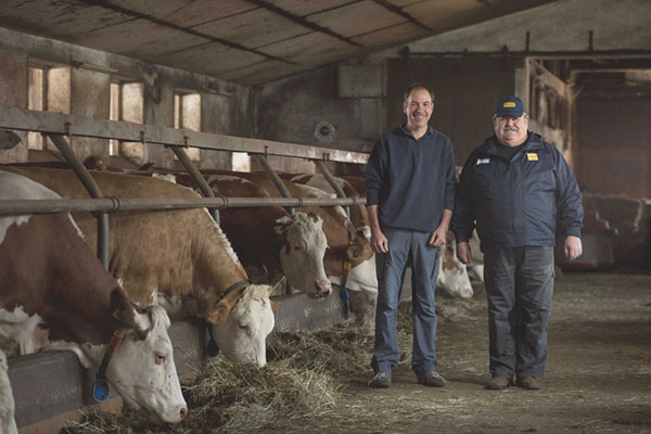 JOSERA DairyPilot - für verringerte Zellgehalte und stabile Leistung