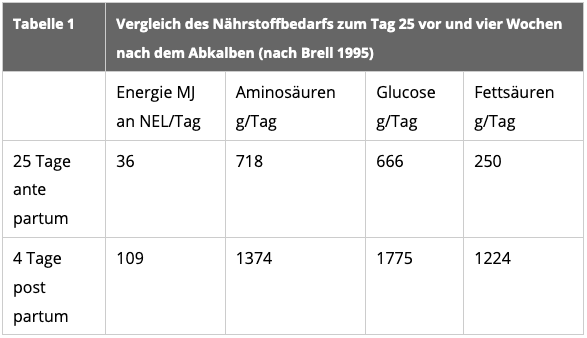 JOSERA Tabelle zeigt, den Vergleich des Nährstoffbedarfs zum TAg 25 vor und vier Wochen nach dem Abkalben