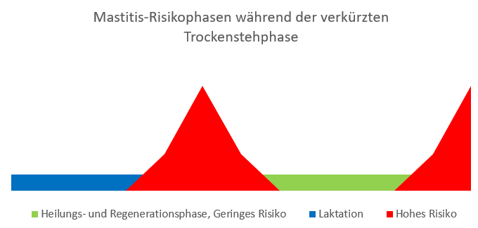 Diagramm - Mastitisrisiko während der verkürzten Trockenstehphase