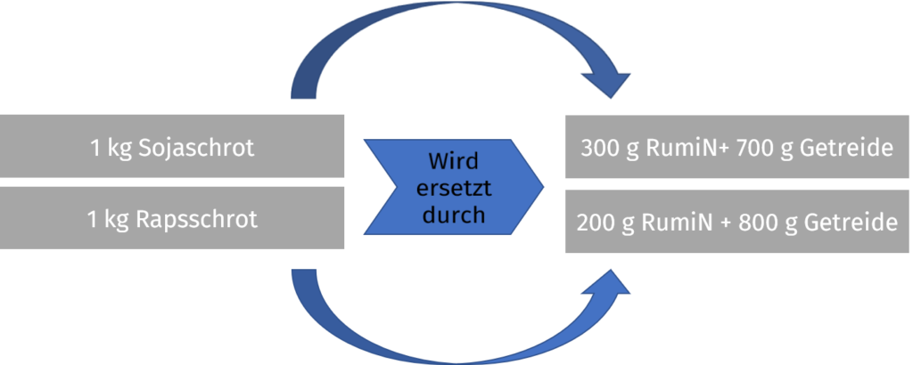 Schaubild zeigt, wie JOSERA RumiN Soja-und Rapsschrot ersetzt.