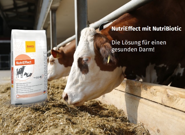 Nutrieffecht mit NutriBiotic I JOSERA