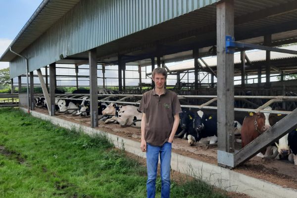 JOSERA DairyPilot - gegen Hitzestress bei Kühen