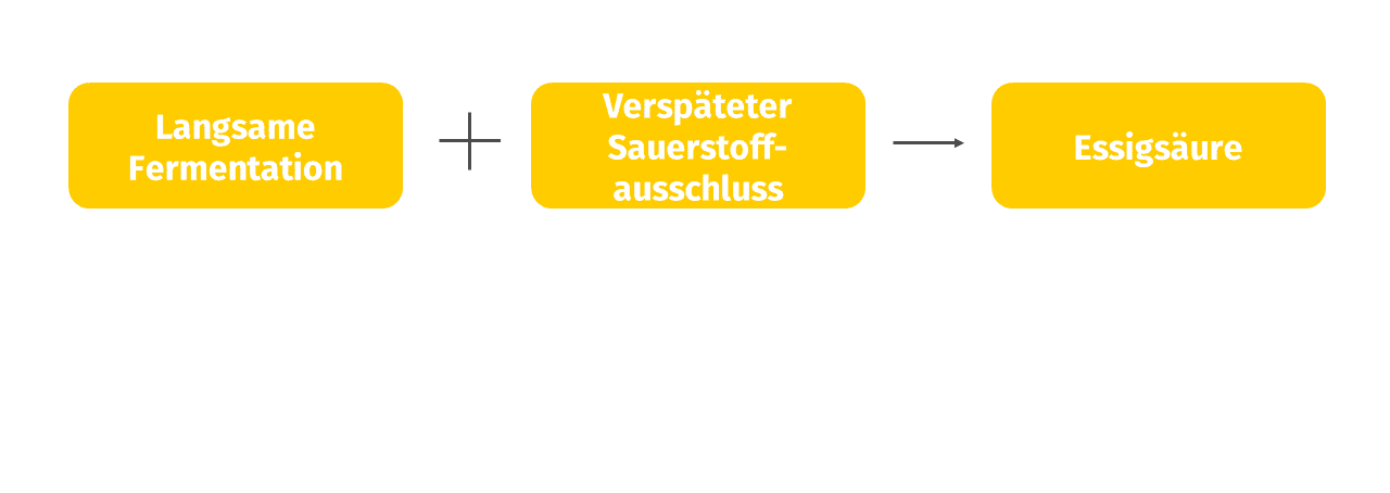 Josera, Gründe für die Bildung von Essigsäure