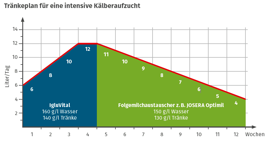 JOSERA Tränkeplan für die intensive Kälberaufzucht